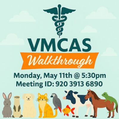 VMCAS Walkthrough 2026 AD